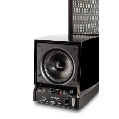 Напольная акустика Martin Logan Impression ESL 11A Arctic Silver